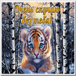 Postcard ласковая гиф-открытка, без тебя невероятно скучаю