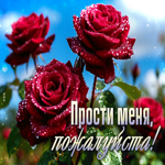 Postcard ласковая гиф-открытка, прости меня, пожалуйста