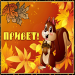 Picture ласковая гиф-открытка с белочкой, которая шлет большой привет