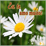Открытка love