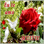 Открытка love