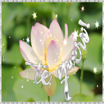 Открытка love