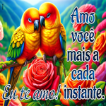 Picture love