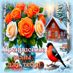 Picture лёгкая открытка, с яркими цветами