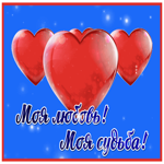 Picture люблю тебя