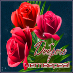 Postcard милая гиф-открытка доброго четверга