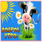 Picture милая картинка доброе утро с коровкой