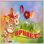 Картинка милая картинка привет