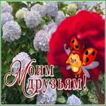 Picture милая открытка моим друзьям, с божьей коровкой