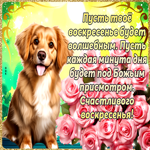 Postcard милая открытка, пусть воскресенье будет волшебным