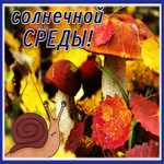 Postcard милая открытка солнечной среды