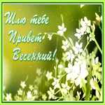 Открытка милая весеняя картинка привет