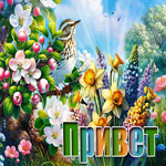 Postcard мотивирующая гиф-открытка, шлет большой привет