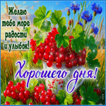 Postcard надежная гиф-открытка, море радости тебе на весь день