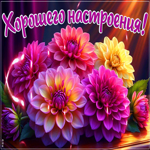 Postcard настоящая гиф-открытка, хорошенького настроения