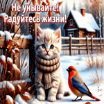 Postcard не унывайте! радуйтесь жизни