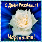 Картинка необычная открытка с днем рождения маргарита