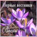 Картинка необычная открытка с весной
