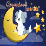 Picture неотразимая гиф-открытка с собачкой, спокойной ночи