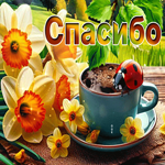 Postcard неподвластная гиф-открытка, огромное спасибо