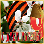 Postcard нестандартная картинка день победы