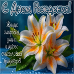 Postcard незаменимая гиф-открытка, здоровья и удачи в твой день рождения