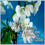 Картинка нежная картинка с весной