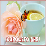Картинка нежная открытка хорошего дня