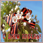 Картинка нежная открытка с 9 мая