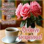Picture нежная гиф-открытка, замечательного воскресенья