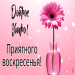 Picture нежная открытка, приятного воскресенья