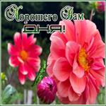 Postcard нежная открытка хорошего вам дня с бабочкой