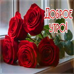 Postcard нежнейшая гифка доброе утро