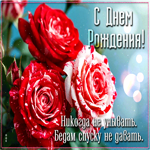 Picture никогда не унывать, бедам скидку не давать