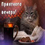 Картинка новая картинка хорошего вечера