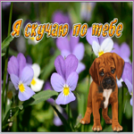 Открытка новая картинка скучаю