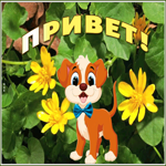 Открытка новая открытка привет
