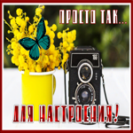 Postcard новая открытка просто так, для настроения