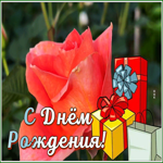 Postcard новая открытка с днем рождения женщине с розой