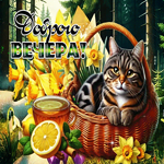 Picture обворожительная гиф-открытка, доброго вечерочка от котика