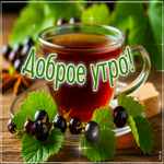 Picture очаровательная гиф-открытка, с добрым утром