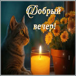 Picture очаровательнаягиф-открытка, добрый вечерок