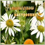 Открытка очаровательная открытка с пожеланиями