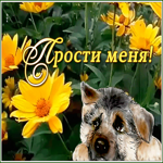 Картинка оригинальная открытка прости