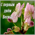 Открытка оригинальная открытка с первым днем весны