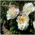 Картинка оригинальная открытка с цветами