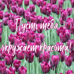Картинка оригинальная открытка с тюльпанами