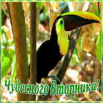 Открытка оригинальная открытка с вторником
