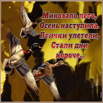 Картинка осенняя открытка с природой