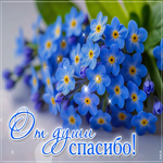 Postcard от души спасибо